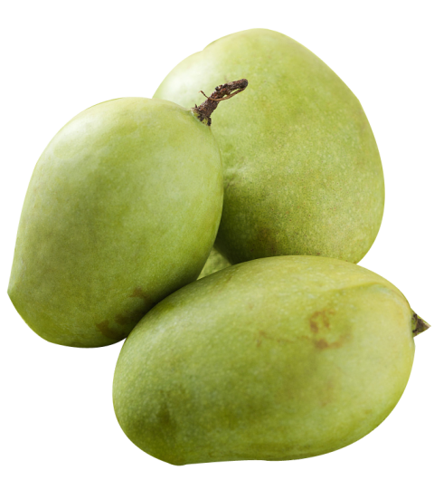 Green Tropical Mango Image PNG Free Transparent