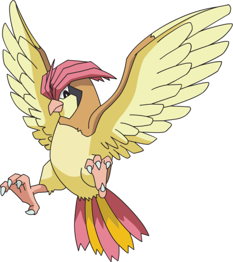 Pokemon Flying Birds PNG Image Free Download
