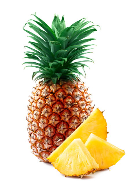 Stock Vector Clipart Ripe pineapple art, Pineapple Fruit with Slices Delicious Fruit PNG Icon Free Download