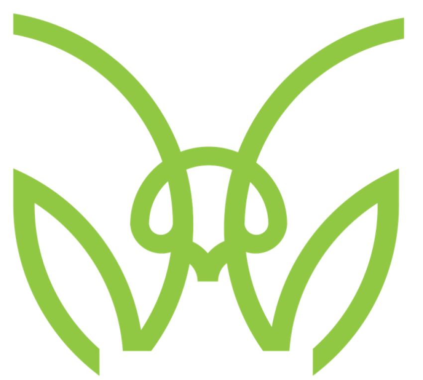 Clipart Art Green Vector Line Mantis Sketch PNG Vector Art PNG Free Download