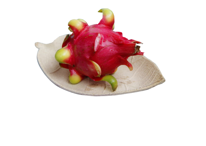 Vector Svg & Psd Graphic Image Design PNG Pitaya Food Fruit Dragon Fruit And Leaf Image  PNG Free Transparent Download