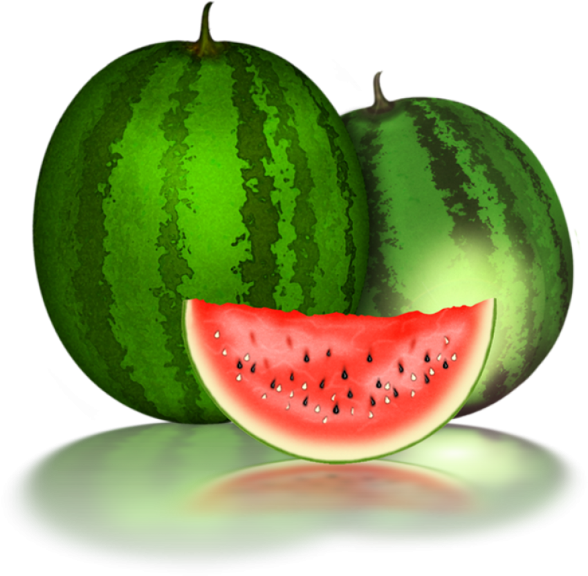 Best Vector Graphic SVG Watermelon Piece iStock Image PNG Free Download