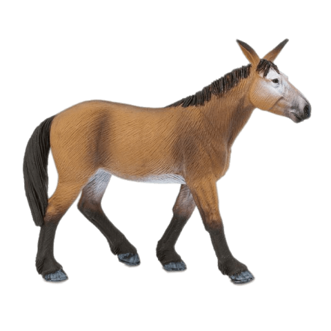 Mule PNG Image Free Download