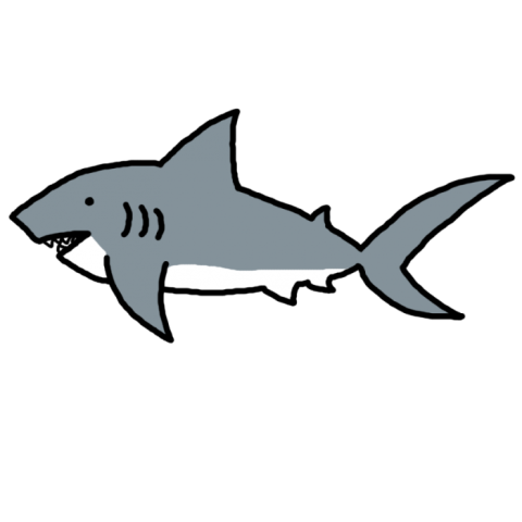 Baby Shark PNG Painting On Transparent Background