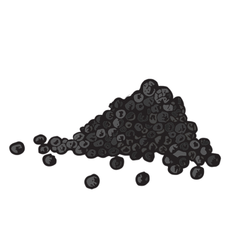 Black Pepper PNG Image Free Photo Download