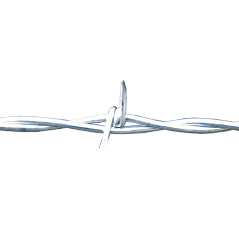 Steel Barbwire PNG Image Free Download