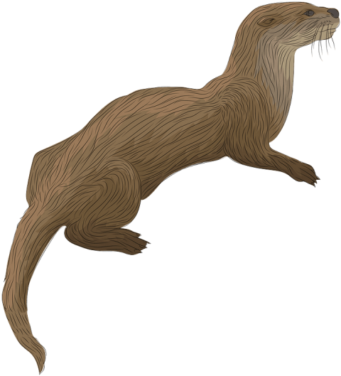 Otter PNG Vector PSD Animal Picture Free Download