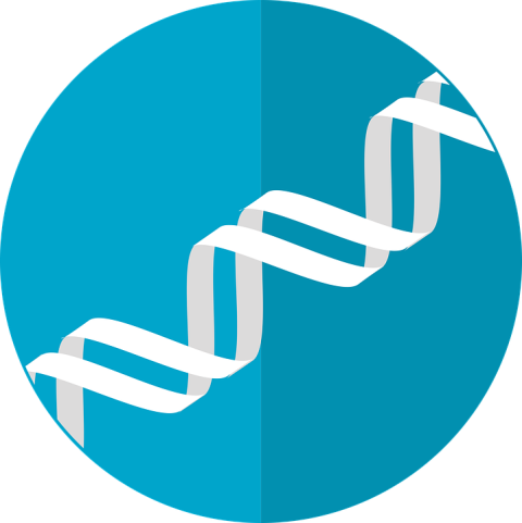 Isolated DNA PNG Picture Download