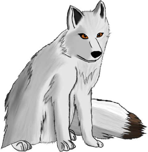 Kawaii Arctic Fox Transparent PNG  Image Free Download