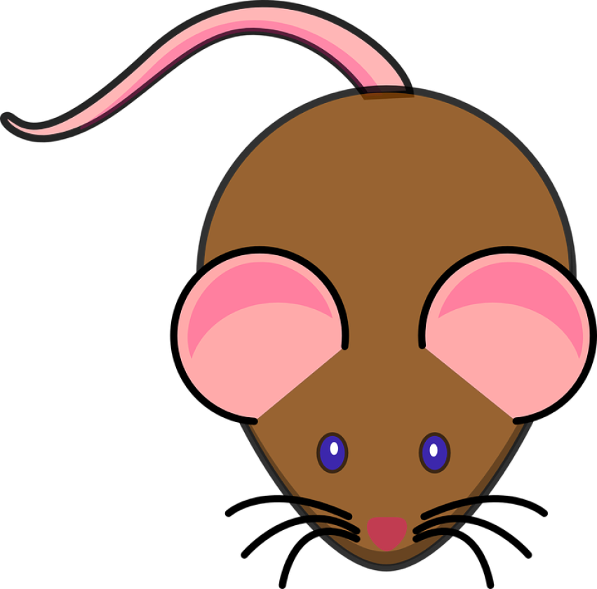 Original PNG Clip Art with Brown Mouse SVG Image