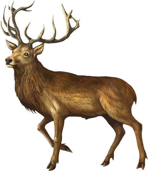 3d deer hunting game model png free deer free