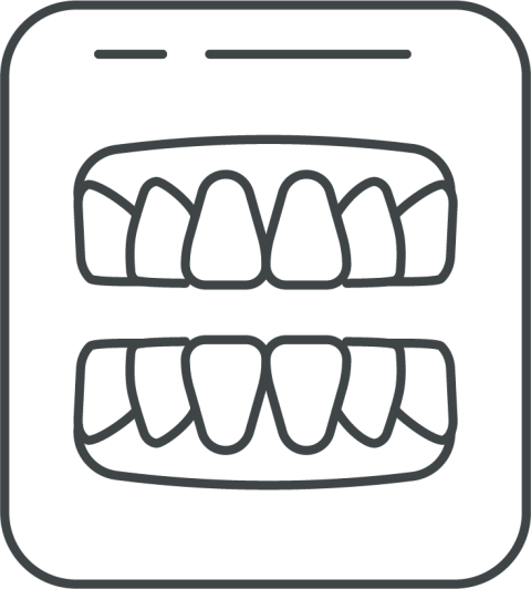 Svg Teeth X Ray PNG Outline Free Background