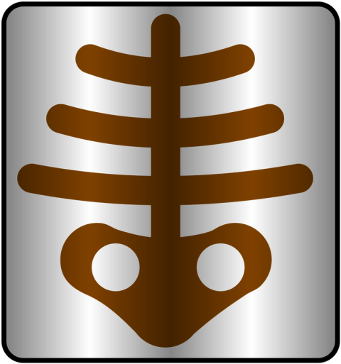 Human X Ray PNG Icon Free Download
