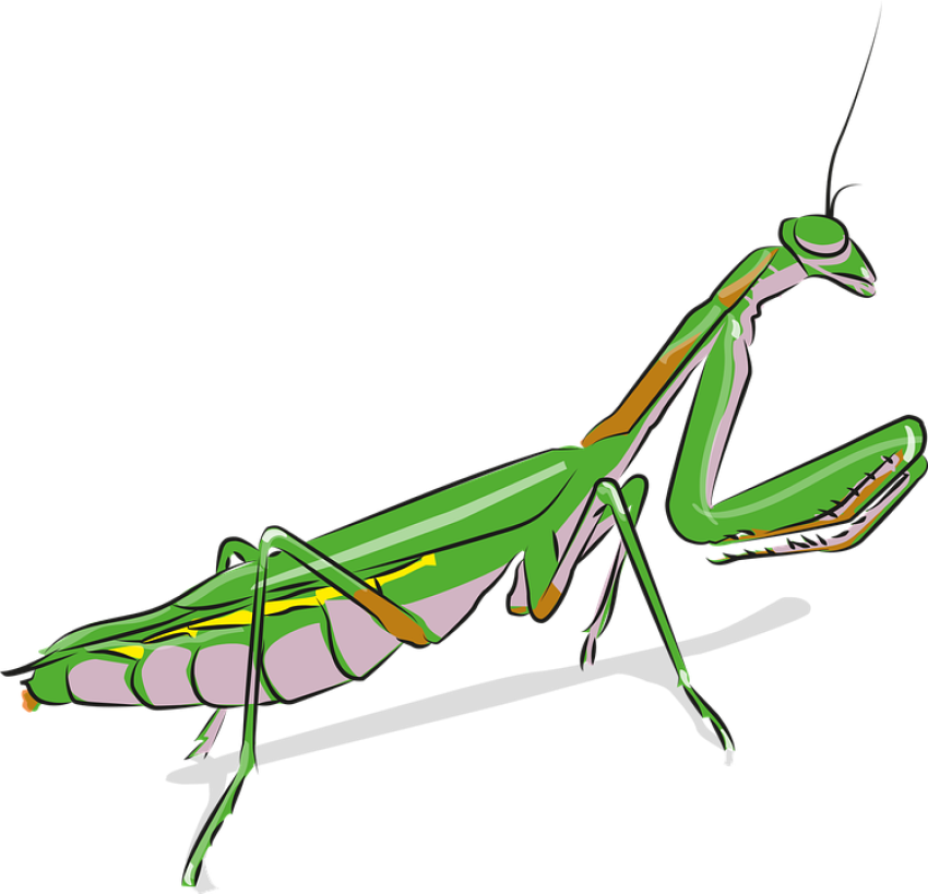 Fast Flying Green Mantis PNG Clipart Image Transparent free download