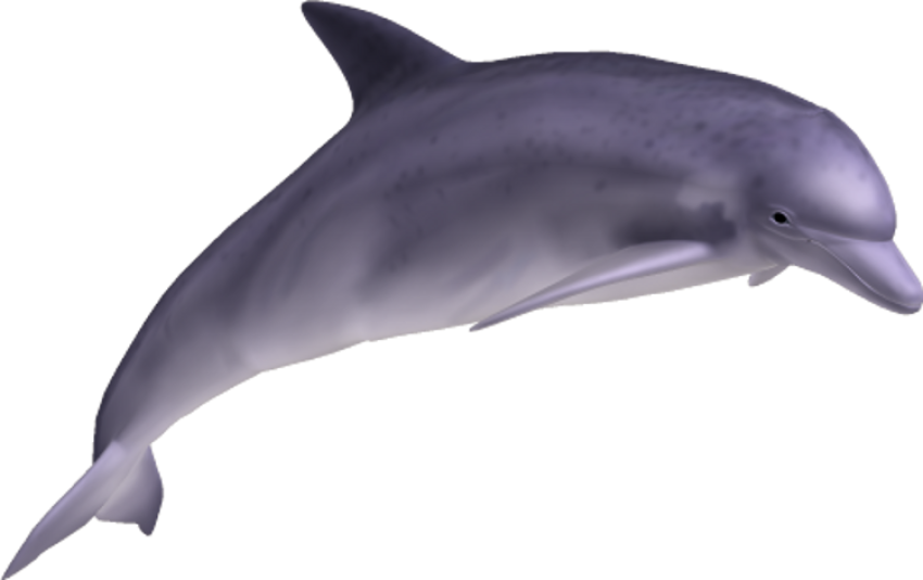 Dolphin deep in water png free