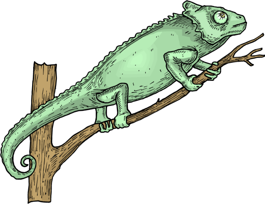 Reptile PNG drawing & Art Image Free Download