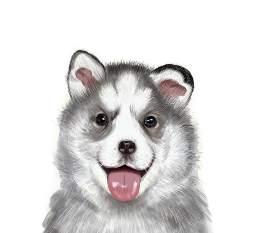 Simulation animal husky dog png free image