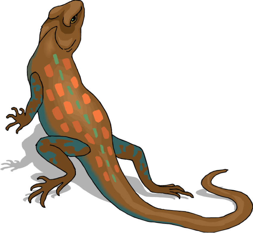 Download Lizard Reptile PNG  Transparent Image