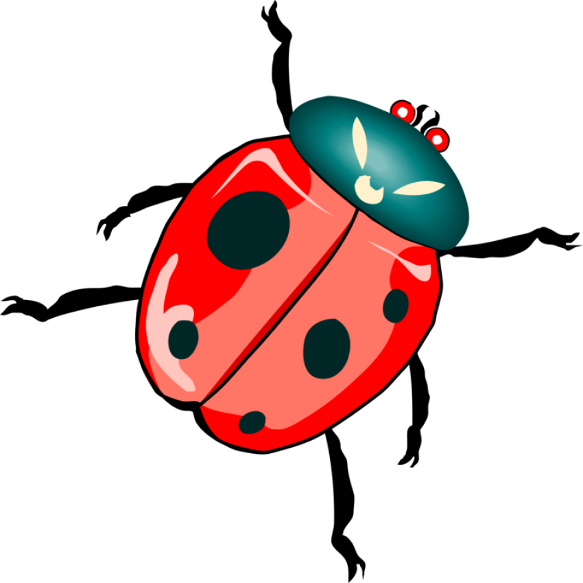 Isolate Ladybird Beetle PNG Drawing Free Art Image