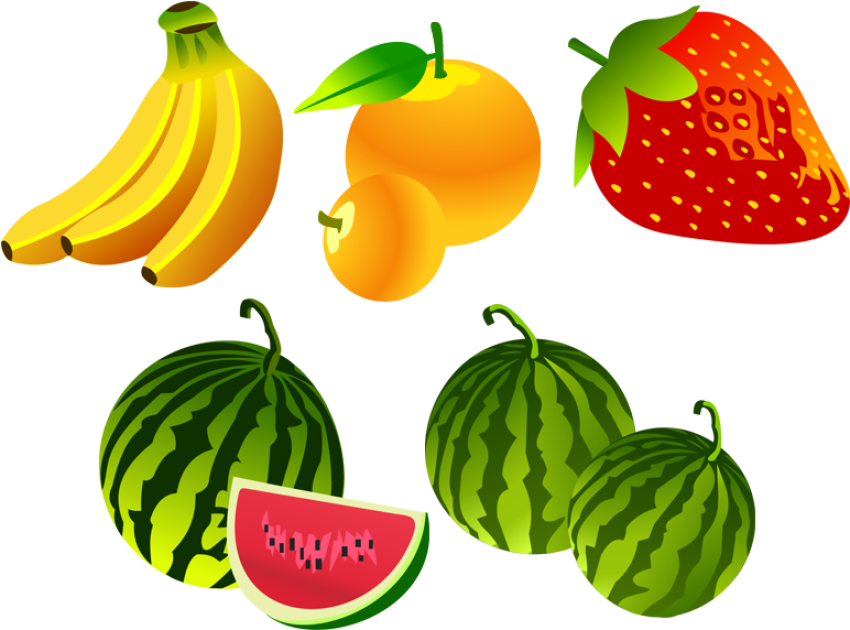 PNG Download Watermelon Vector Png Transparent Background