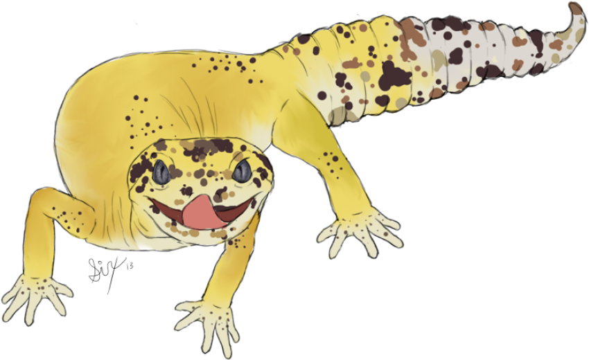 Leopard geckos Lizard PNG Image Transparent Background