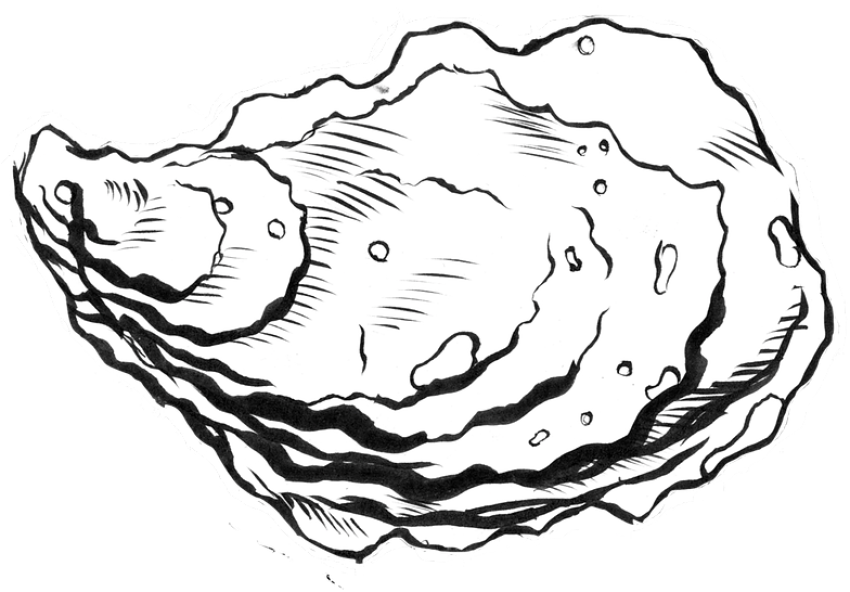 Pacific Oyster PNG Vector Art Image Free Download