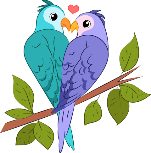 HD Graphic Art of Lovebird PNG Photo