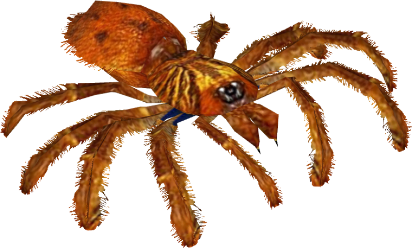 Tarantula PNG, Spider Clipart Photo Free Download