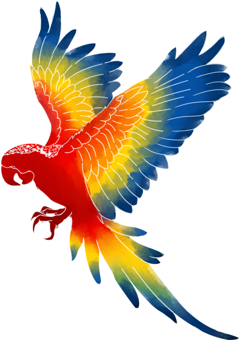 Beautiful Macaw PNG Birds Image On Transparent