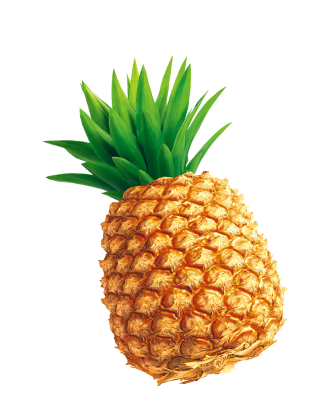 Transparent Pineapple Fresh Fruit healty food PNG Icon Free Transparent Background Free Download