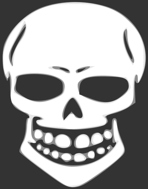 Human Skull Structure X Ray PNG Logo
