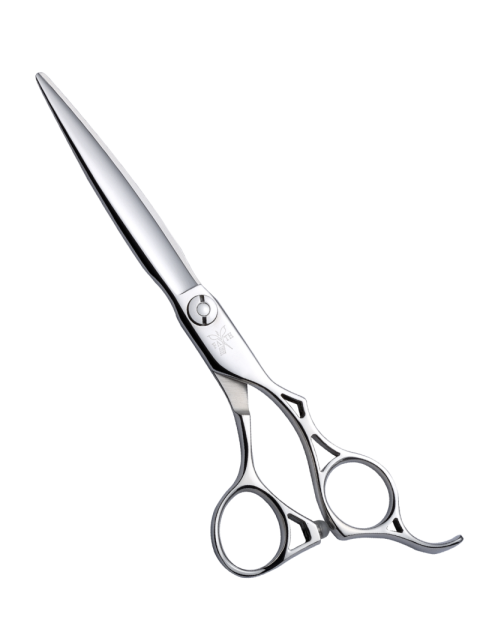 Download on Medical Scissor PNG Picture