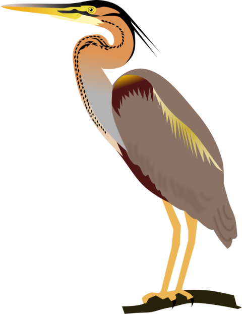 PSD Clipart Vector Design On Heron PNG Birds Image