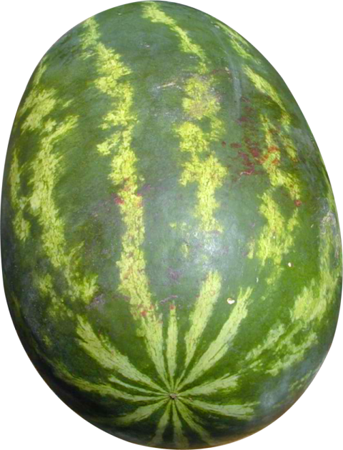 Best Clipart Watermelon Png Image Free Download