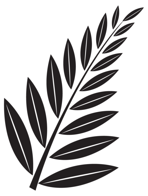 Leaf Shape PNG Images Transparent Leaf Shapes PNG Image with Transparent Background