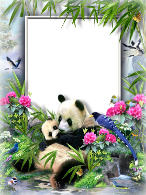 Panda Photo Frame PNG Image