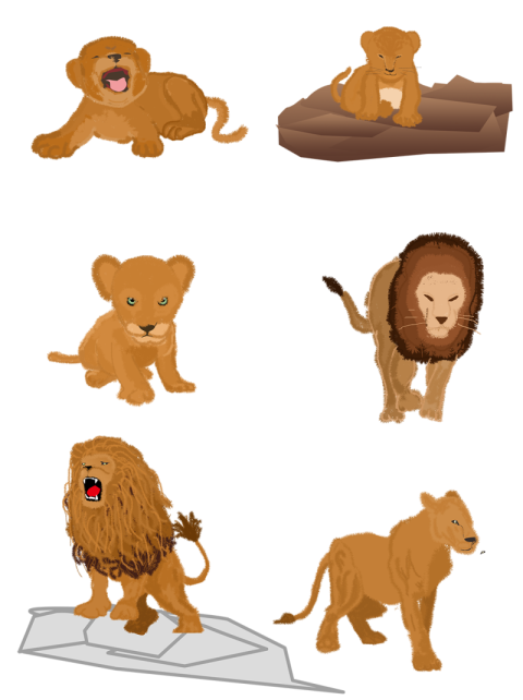Hand drawn animal lion cub PNG Free Download