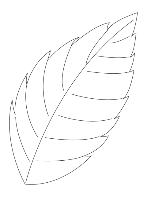 Hand Drawn Leaf PNG Art Leaf Shape PNG Images Transparent Leaf Shapes PNG Image with Transparent Background