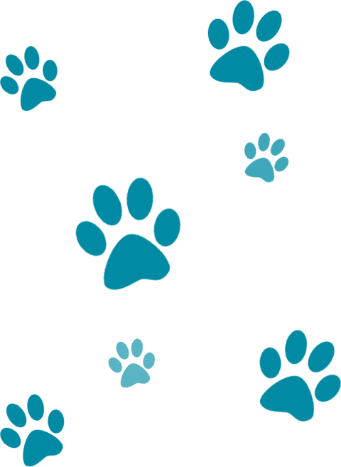 Paw Print PNG Clip Art Blue paw Free Download