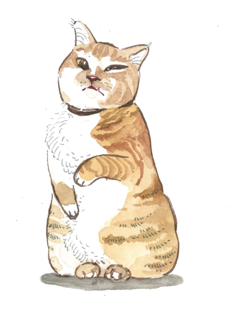 Pet cat family cute master PNG free Download