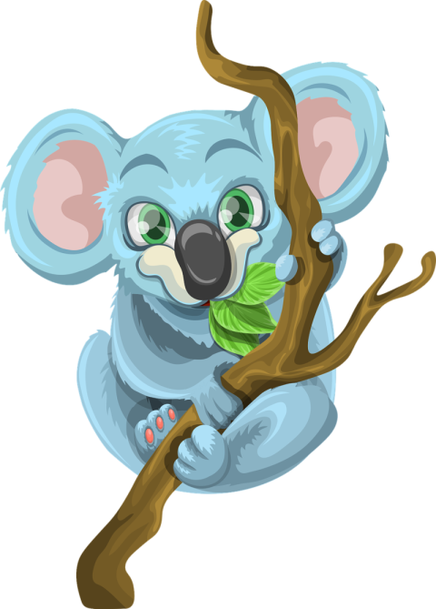 Koala Hd PNG Drawing Download Free