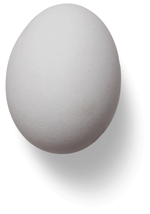 Ostrich White Egg Sphere,HD Food Photo Free Download PNG Image,Transparent Background