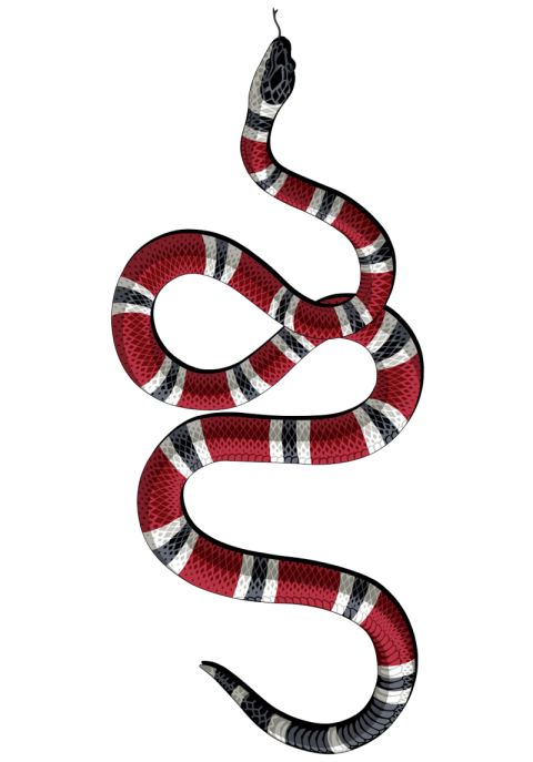 Red Snake PNG Transparent Image