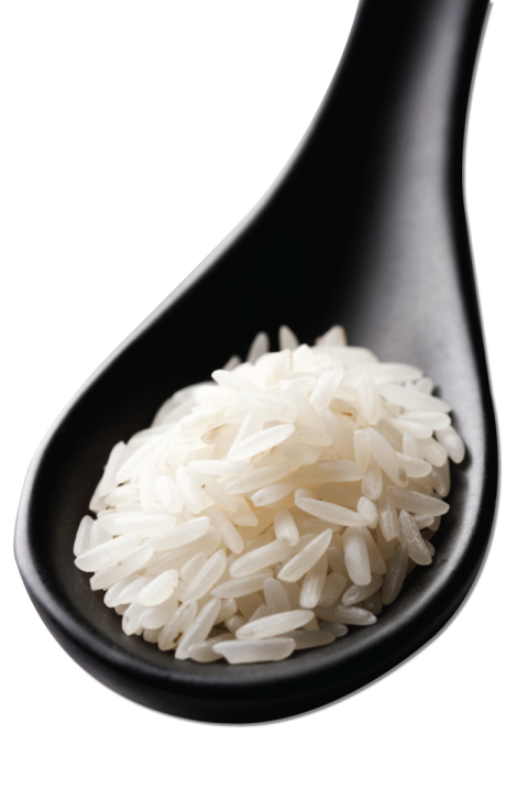 Rice on Black Spoon PNG Picture On Transparent