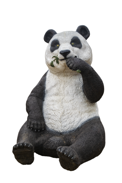 Real Panda Bear PNG Transparent Background