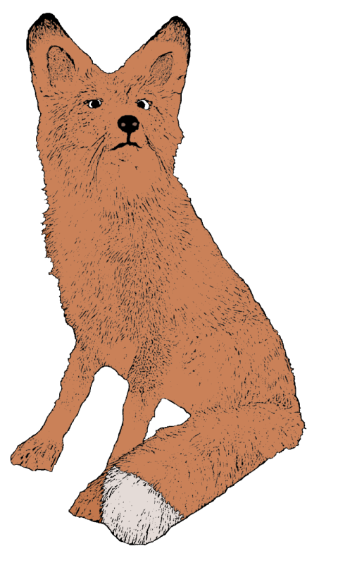 Real Cool Red Fox PNG Photo Image