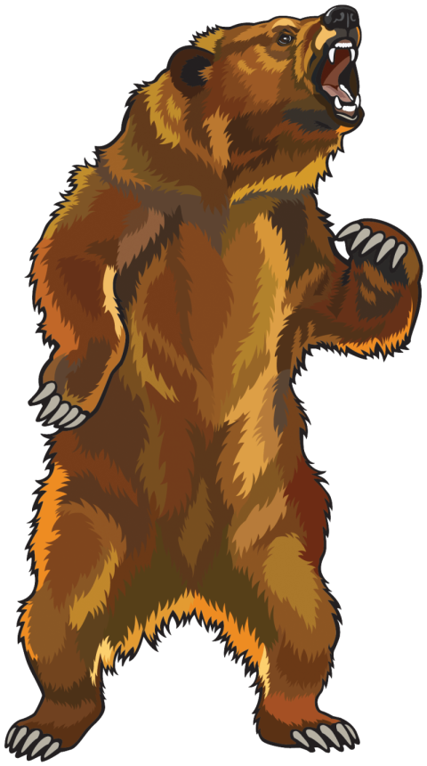 Cartoon Bear Character PNG Picture Drawing Free Transparent download