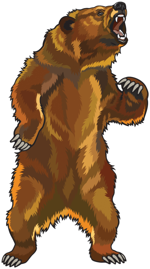 Angry Kodiak Brown Bear PNG Standing Foam Sticker Image