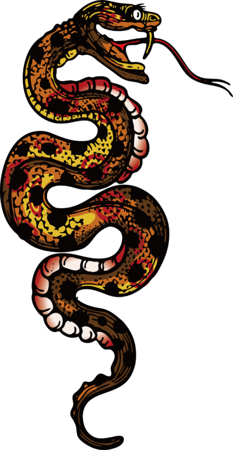 Download Free Kingsnake PNG Aniaml Image