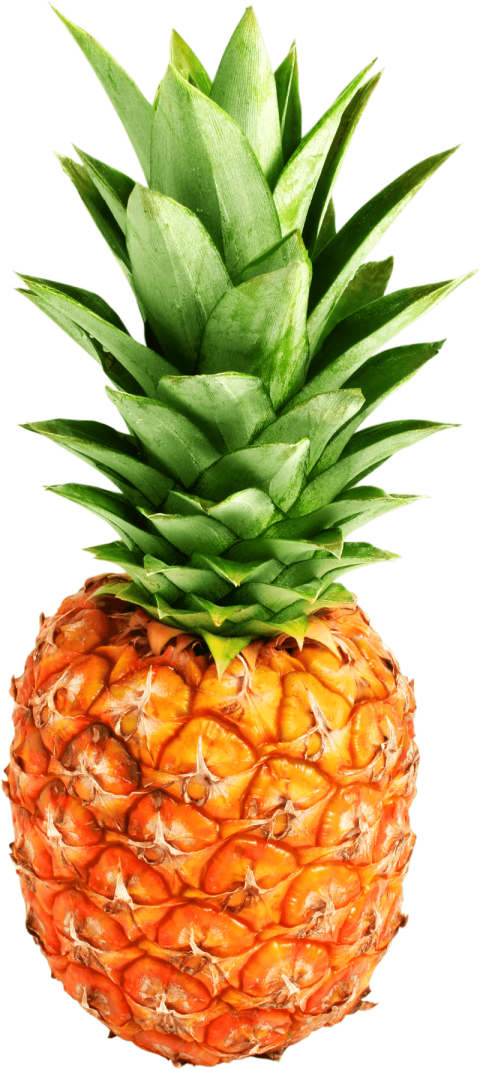 Svg Graphic Ai Cliaprt Pineapple  Summer fruit Summer fruit, colorful Summer Splash Food PNG Wallpaper Free Download